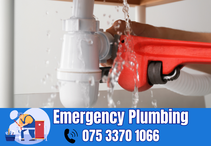  plumber Hales Place